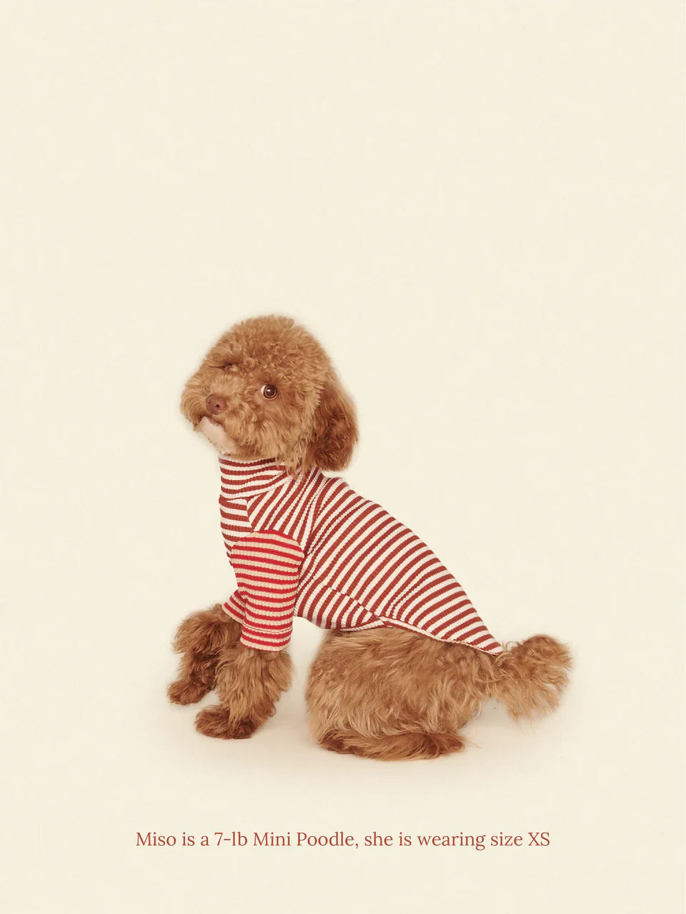 Earth and Fire Ribbed Dog Shirt