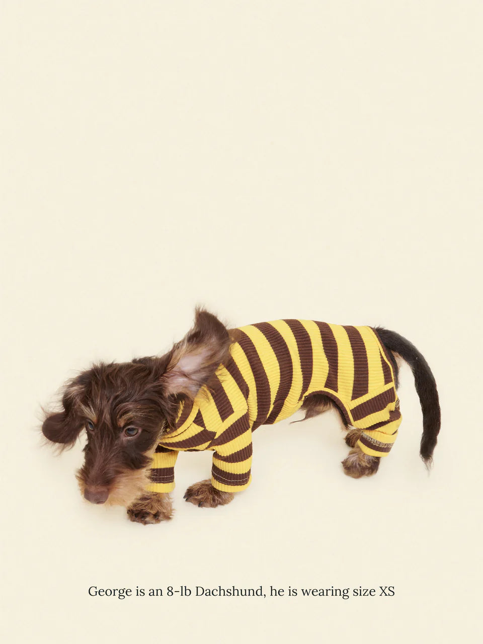 Dijon Stretch Ribbed Dog Onesie