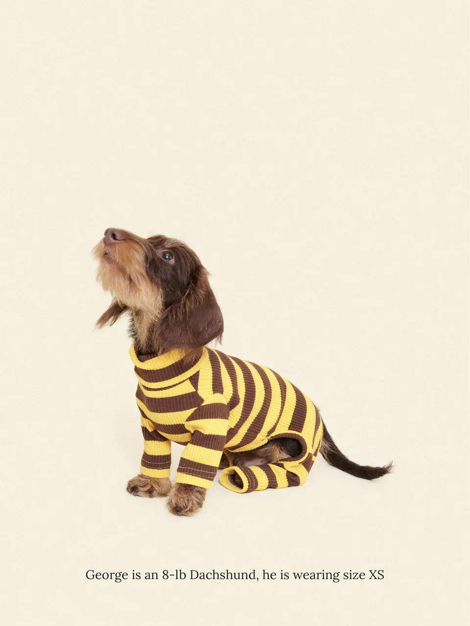 Dijon Stretch Ribbed Dog Onesie
