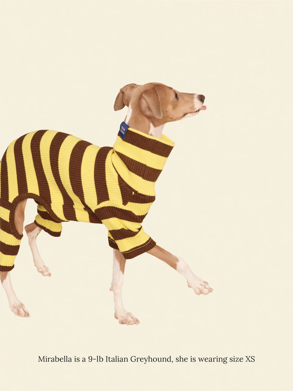 Dijon Stretch Ribbed Dog Onesie