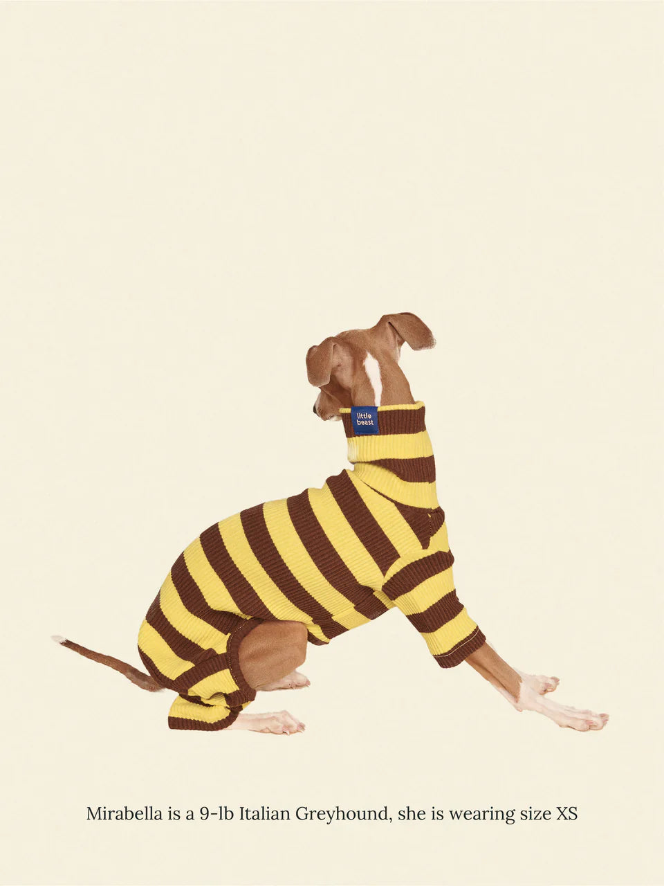 Dijon Stretch Ribbed Dog Onesie