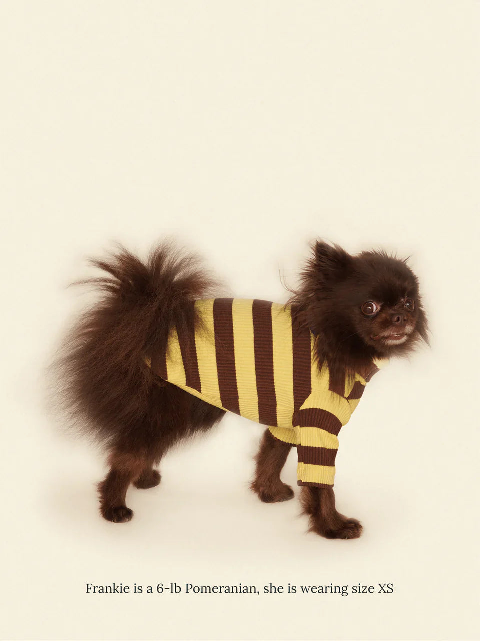 Dijon Ribbed Dog Shirt
