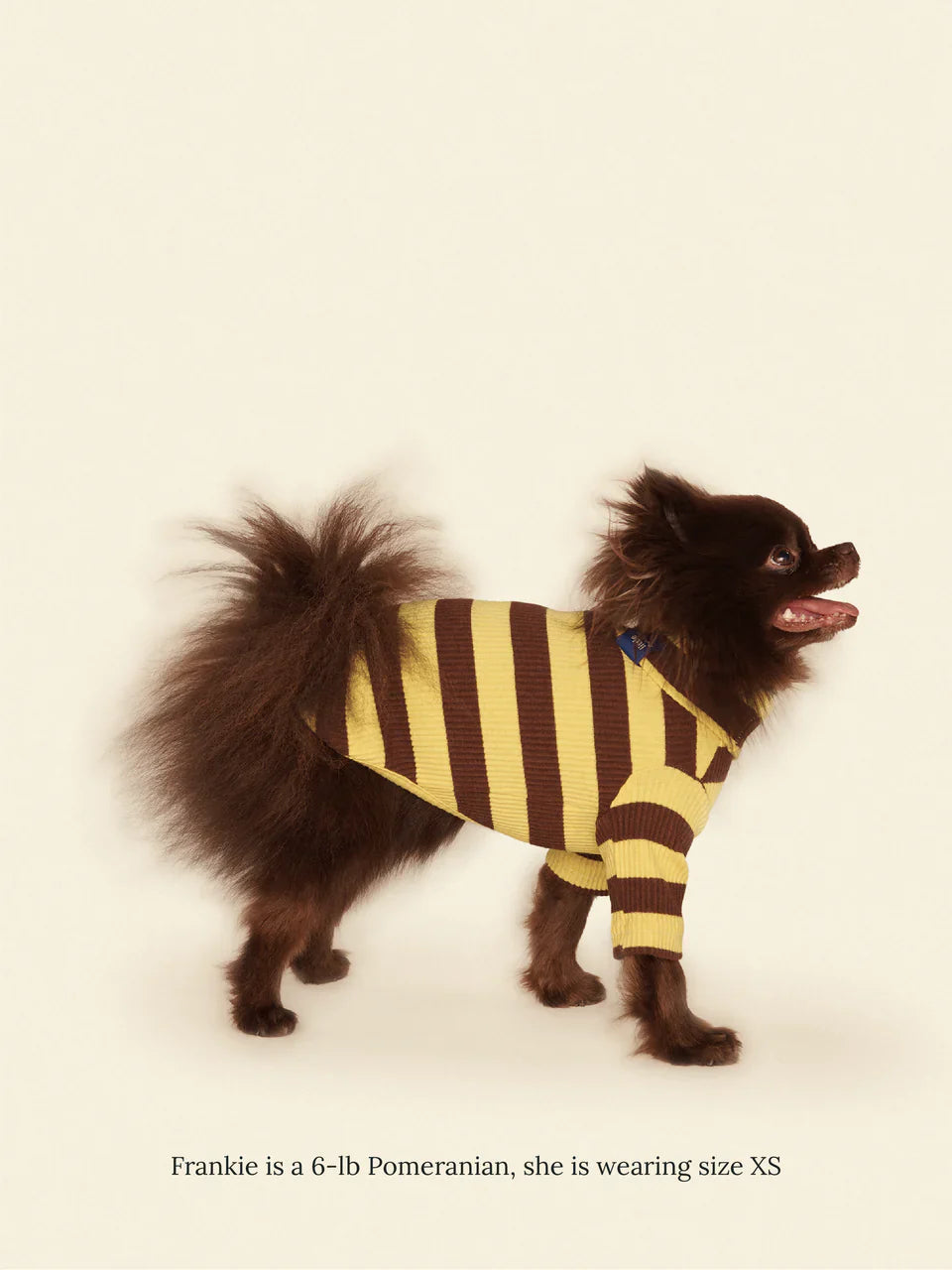 Dijon Ribbed Dog Shirt