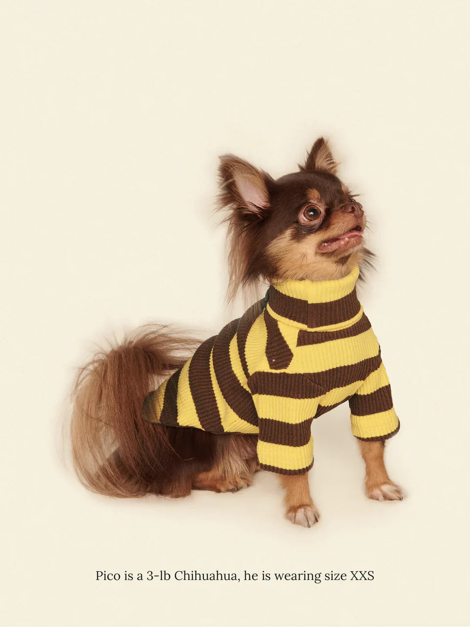 Dijon Ribbed Dog Shirt