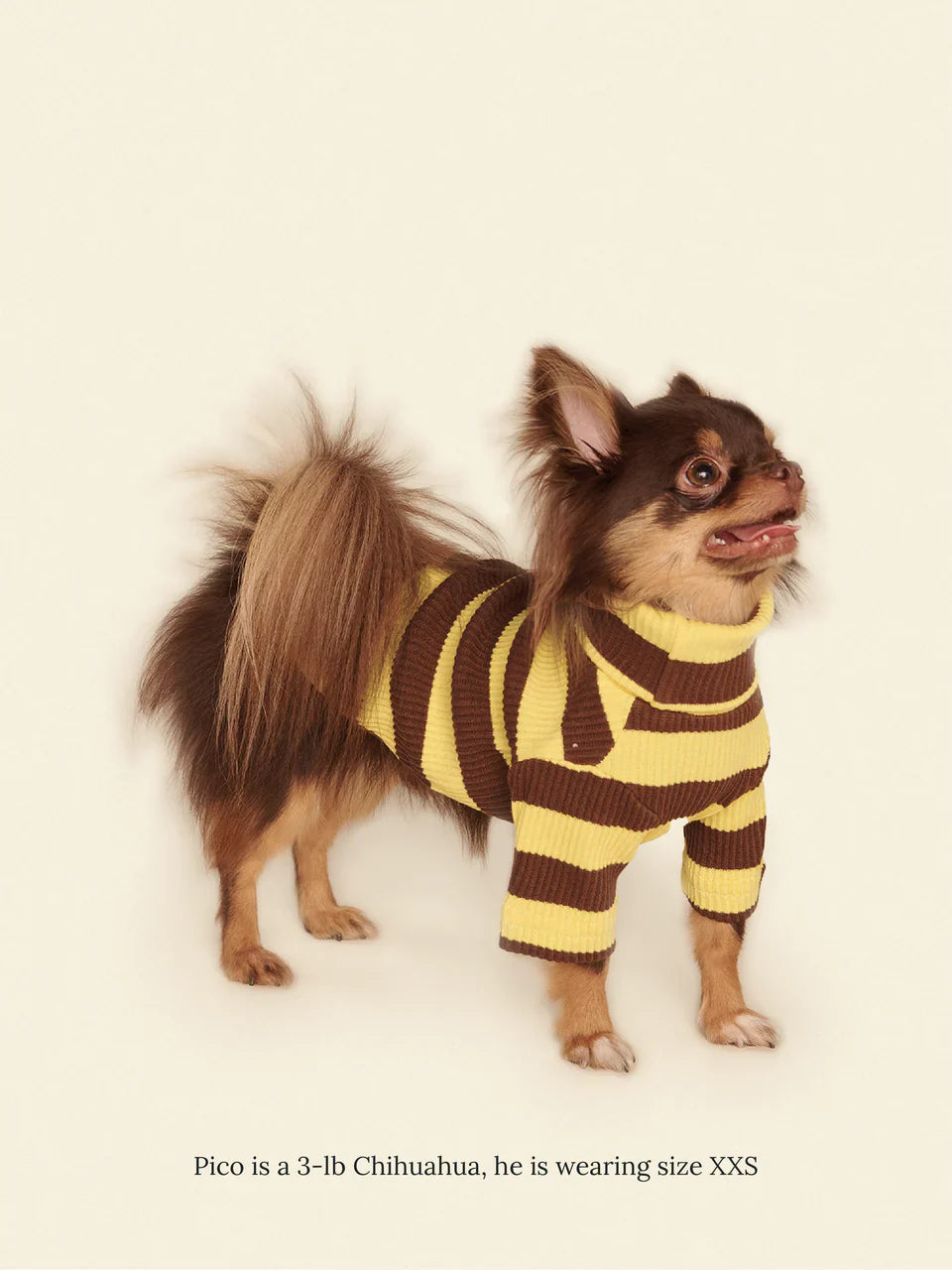 Dijon Ribbed Dog Shirt