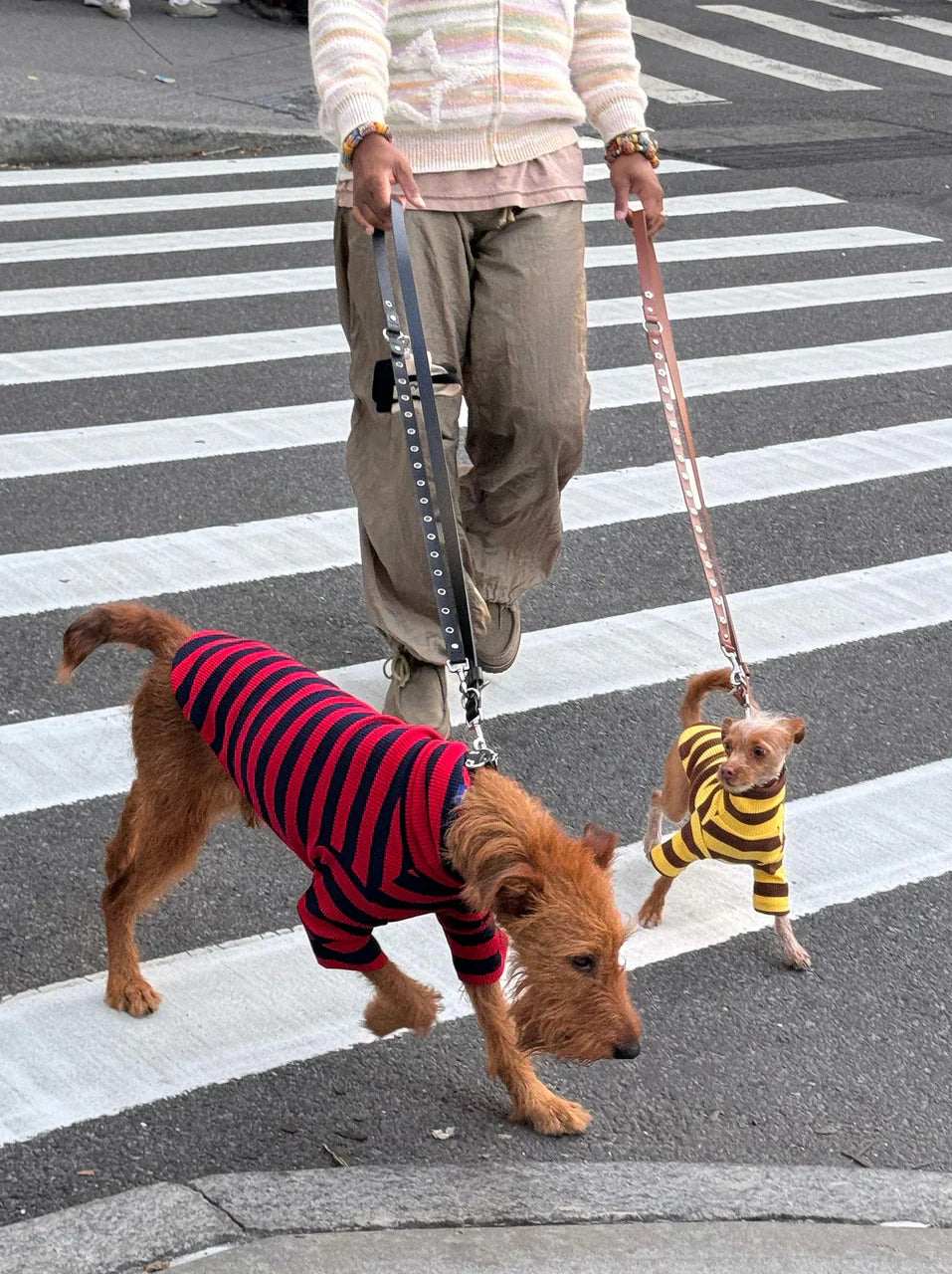 Dijon Ribbed Dog Shirt