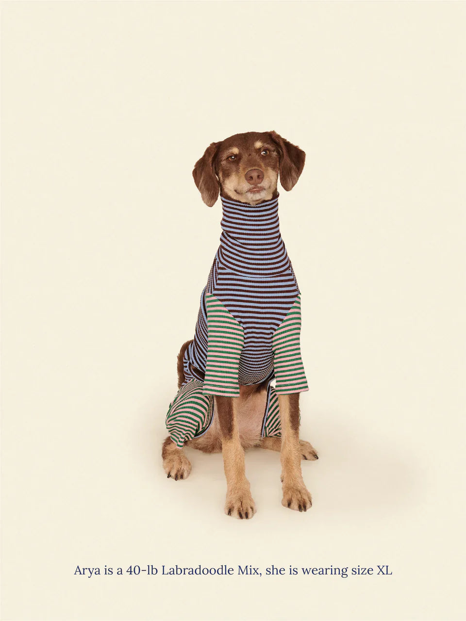 Earth and Sky Dog Onesie