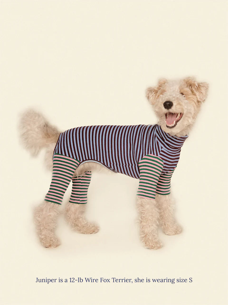 Earth and Sky Dog Onesie