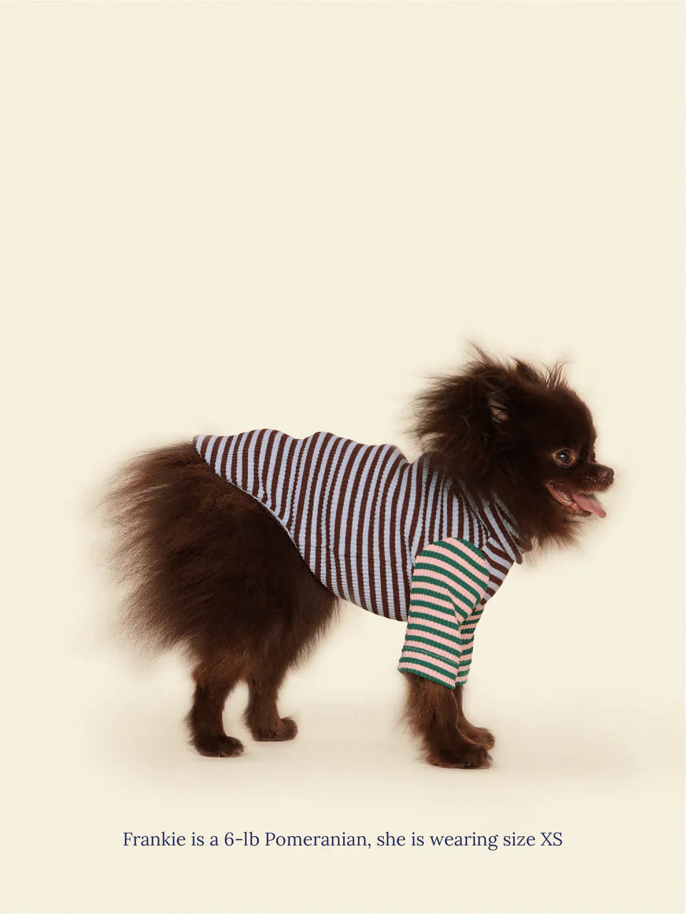 Earth and Sky Ribbed Dog Shirt
