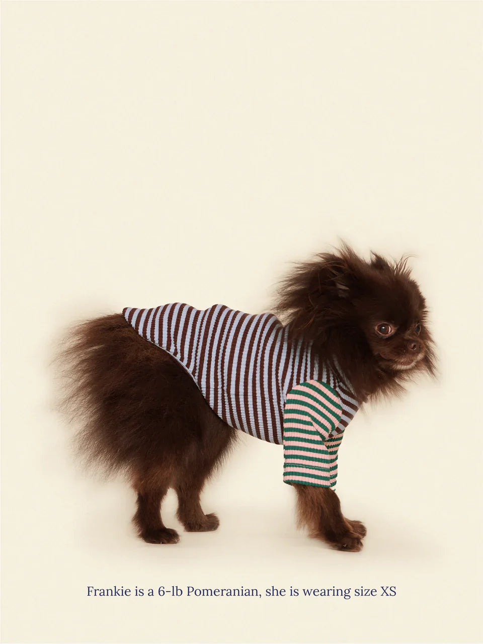 Earth and Sky Ribbed Dog Shirt