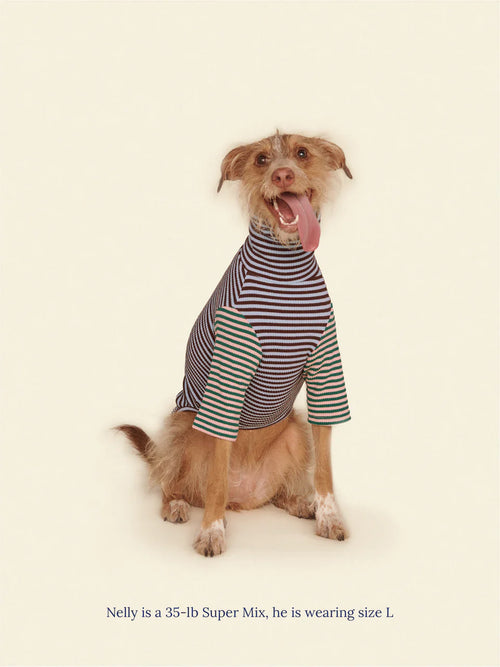 Earth and Sky Ribbed Dog Shirt