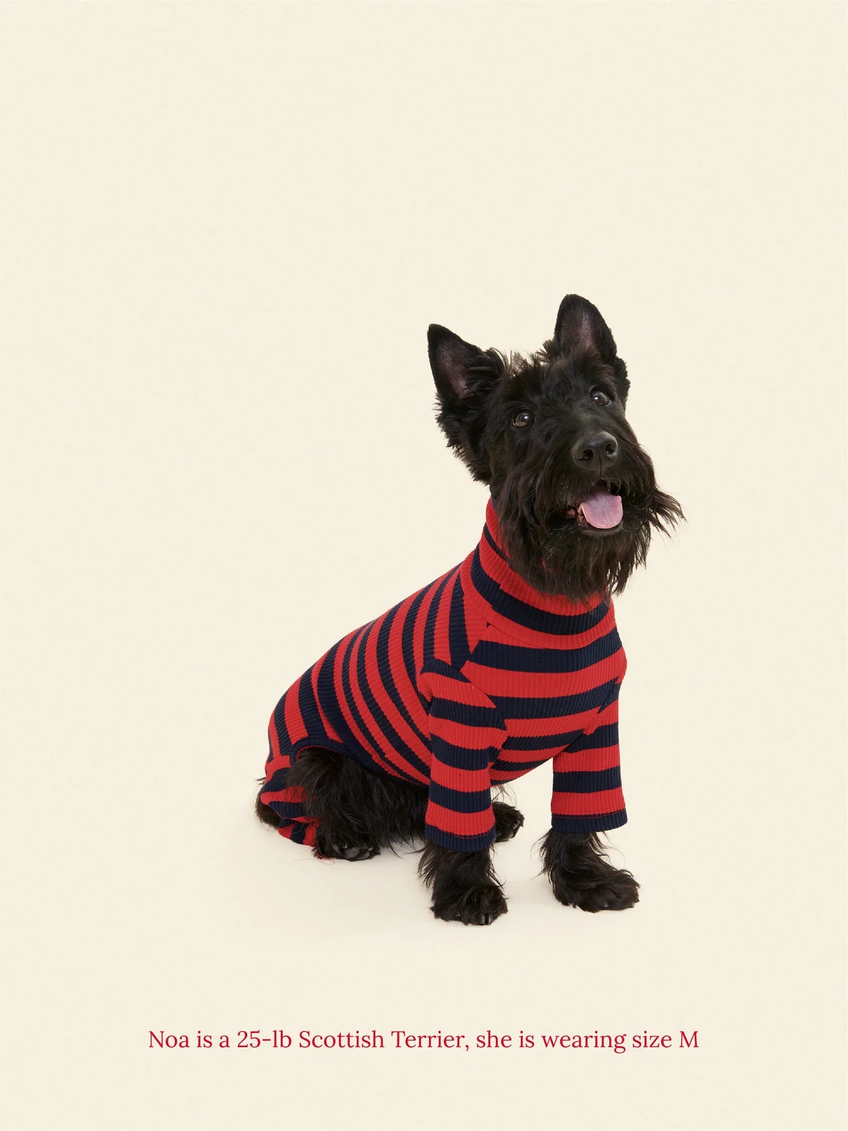 Ivy League Ribbed Dog Onesie