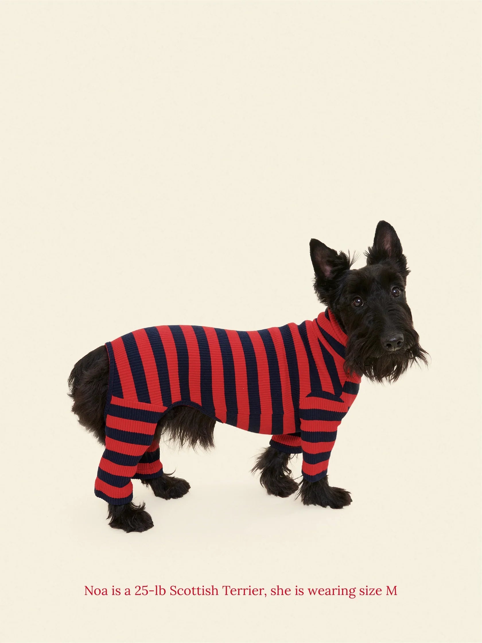 Ivy League Ribbed Dog Onesie