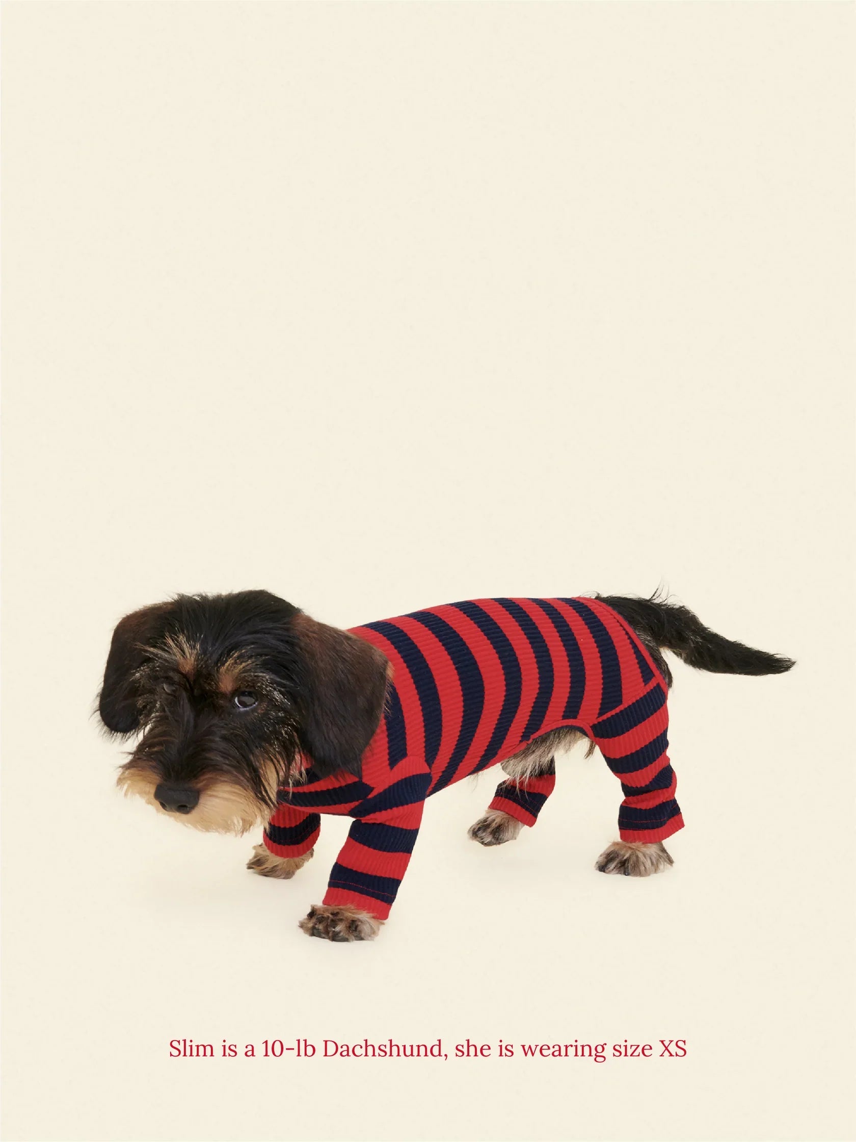 Ivy League Ribbed Dog Onesie