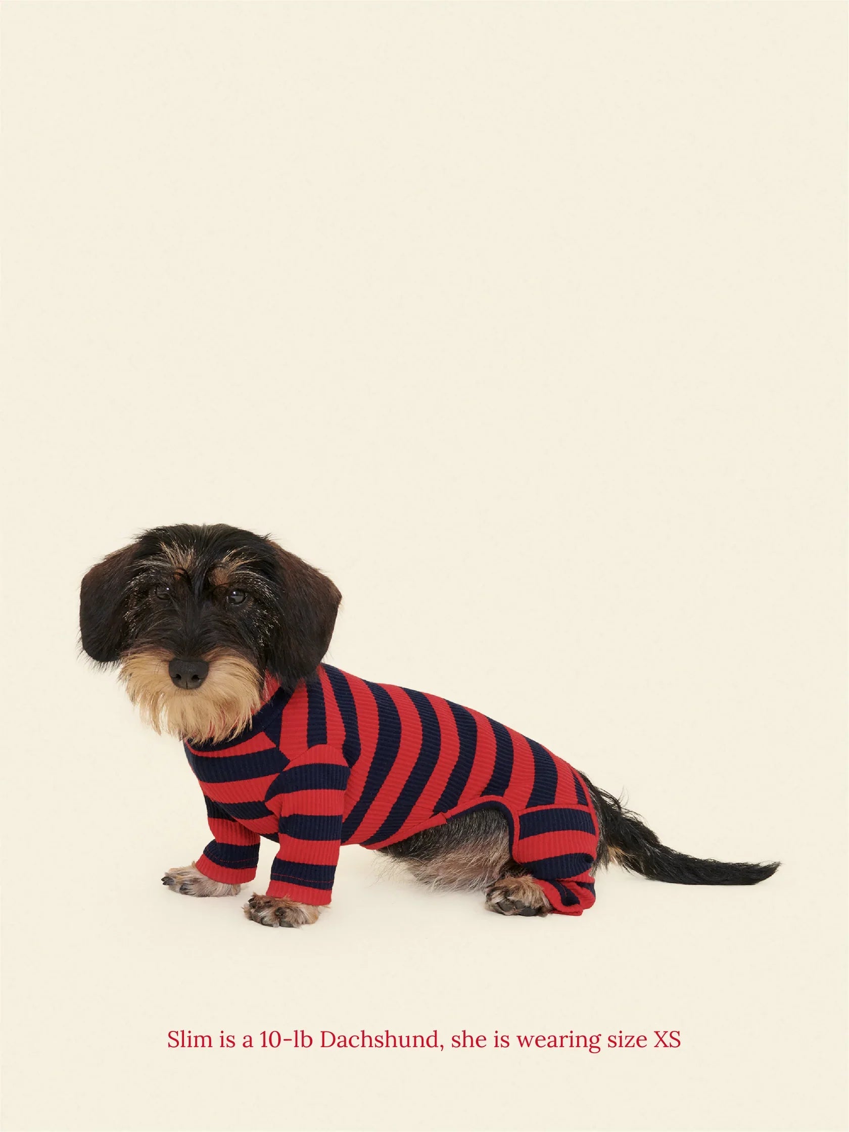 Ivy League Ribbed Dog Onesie