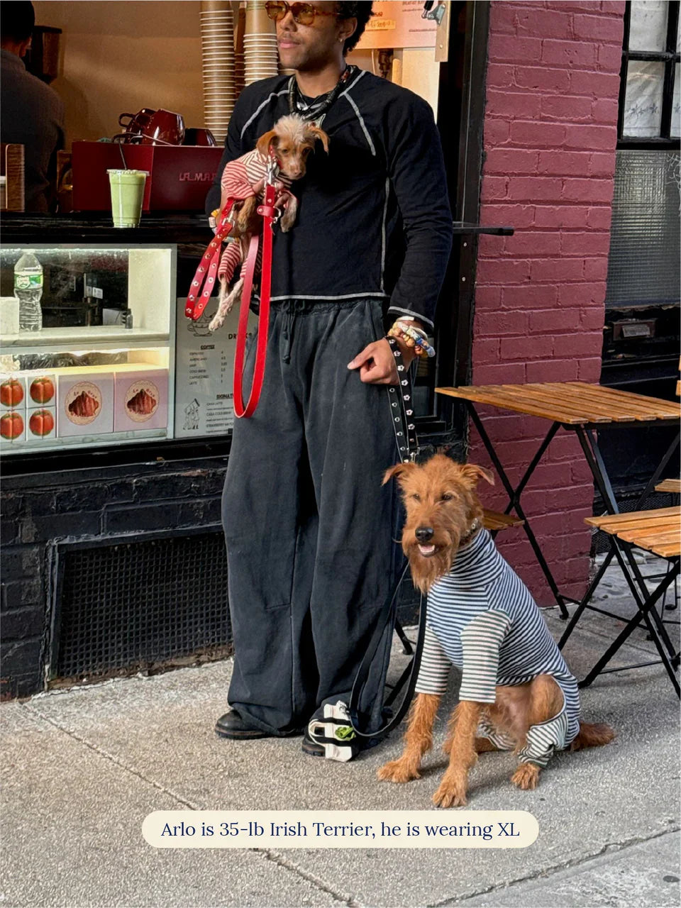 Earth and Sky Dog Onesie