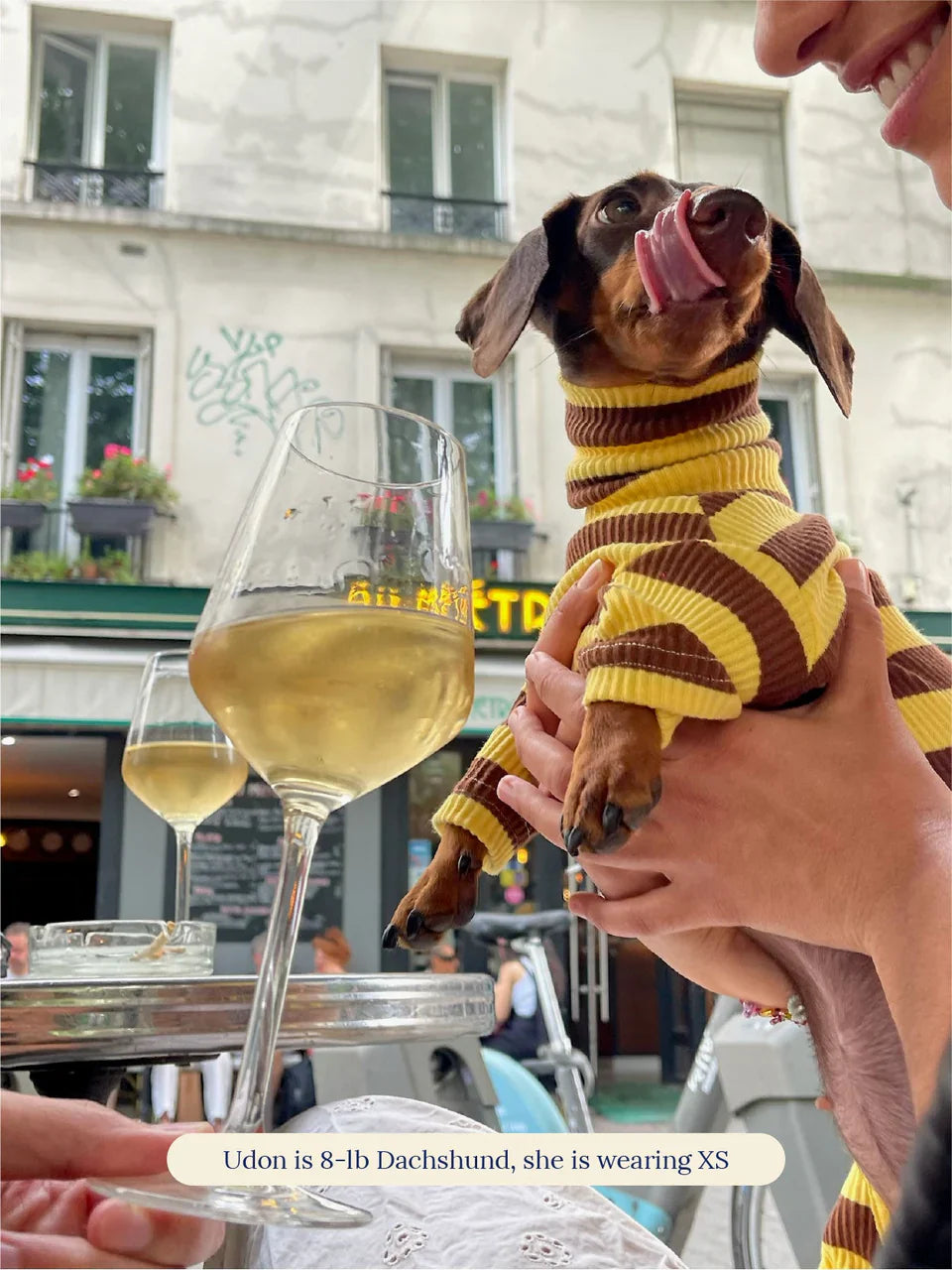 Dijon Stretch Ribbed Dog Onesie