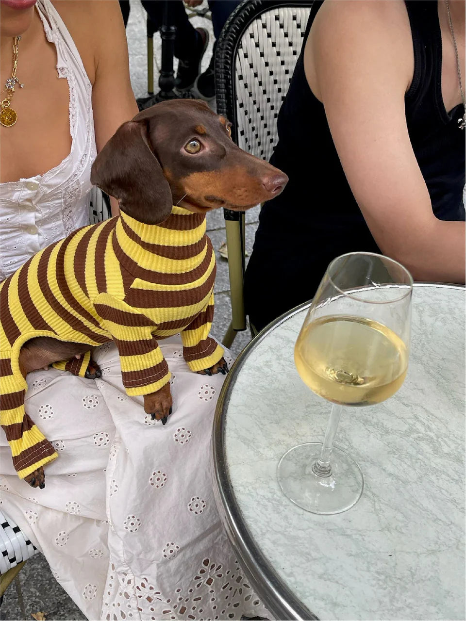 Dijon Stretch Ribbed Dog Onesie