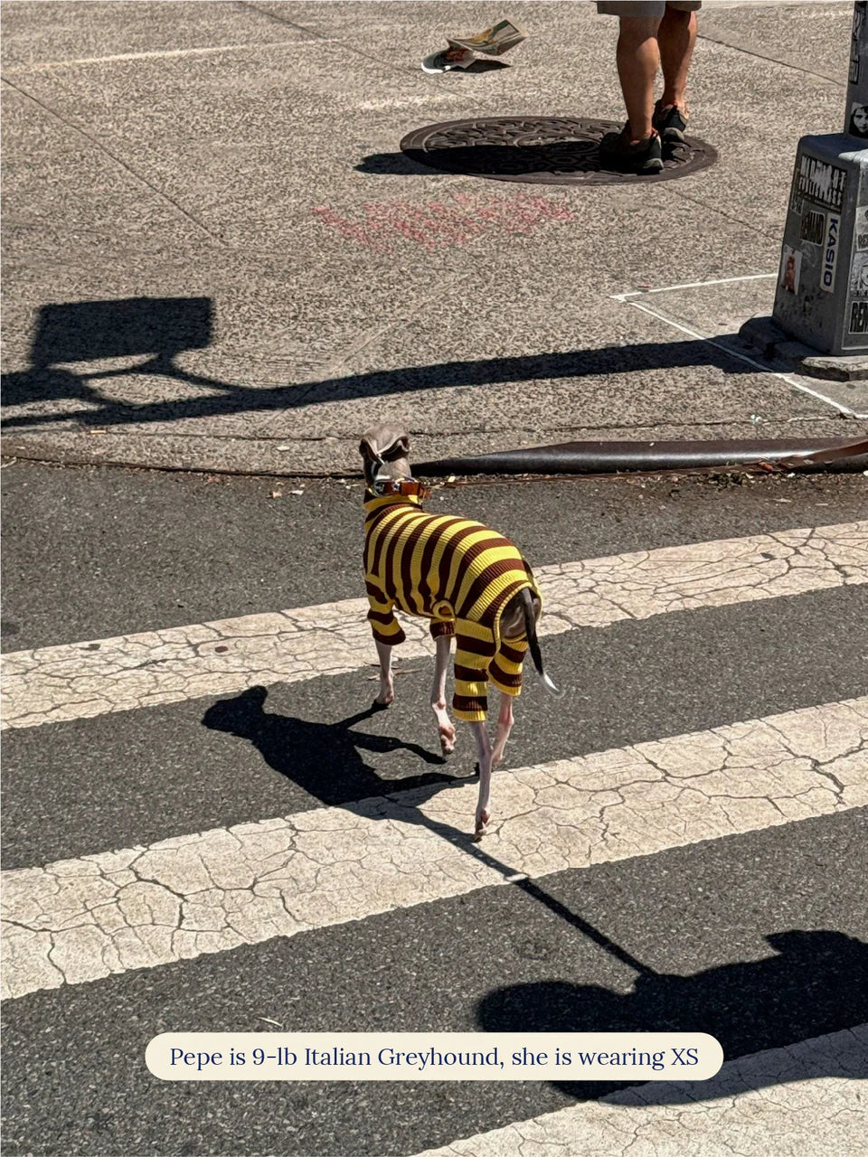 Dijon Stretch Ribbed Dog Onesie