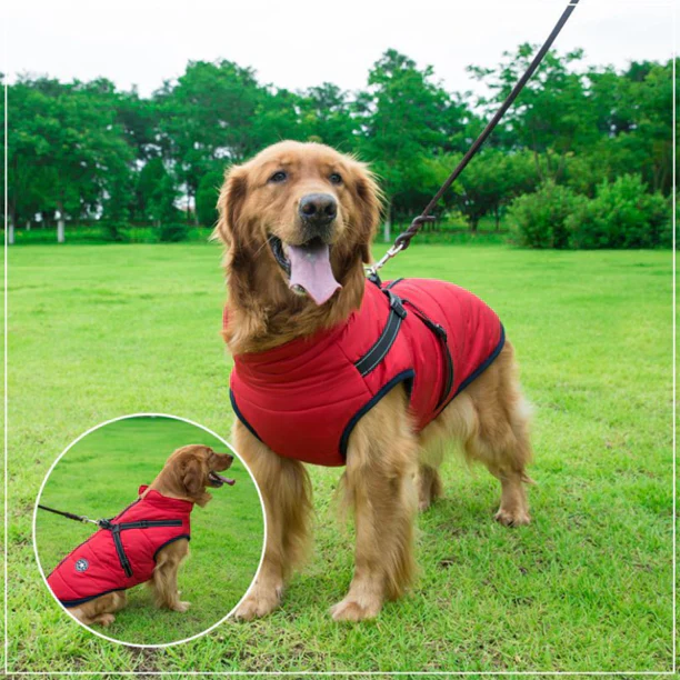 Waterproof Winter Jacket with Built-in Harness For Dogs