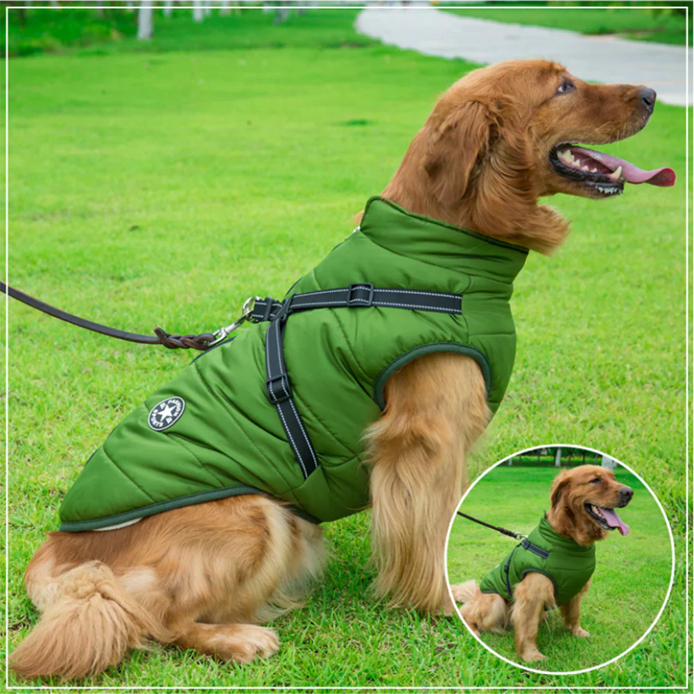Waterproof Winter Jacket with Built-in Harness For Dogs